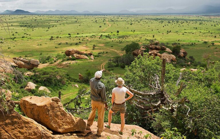 walking-safaris