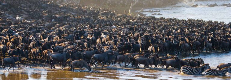 9 Days Fly In & Fly Out Luxury Safari